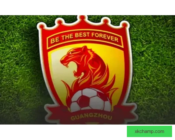 6月5日战国足印尼公布大名单迪克斯罗梅尼领衔18名归化入选